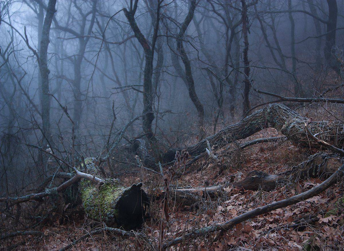 , Дитковский Евгений