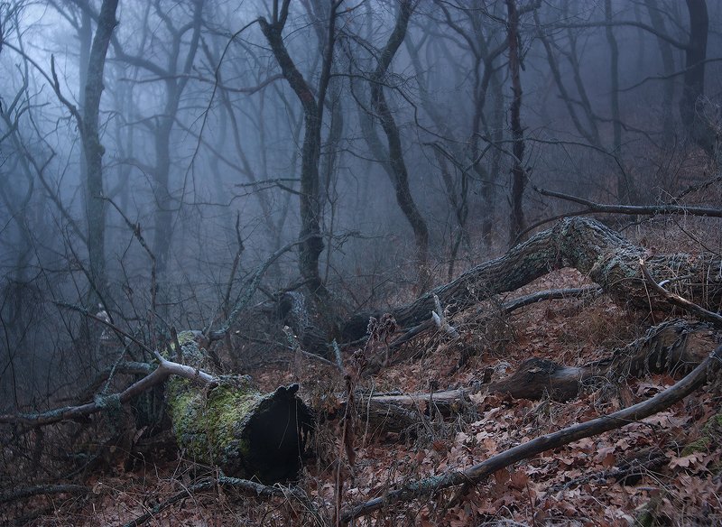 #ProDonbassFog фото превью