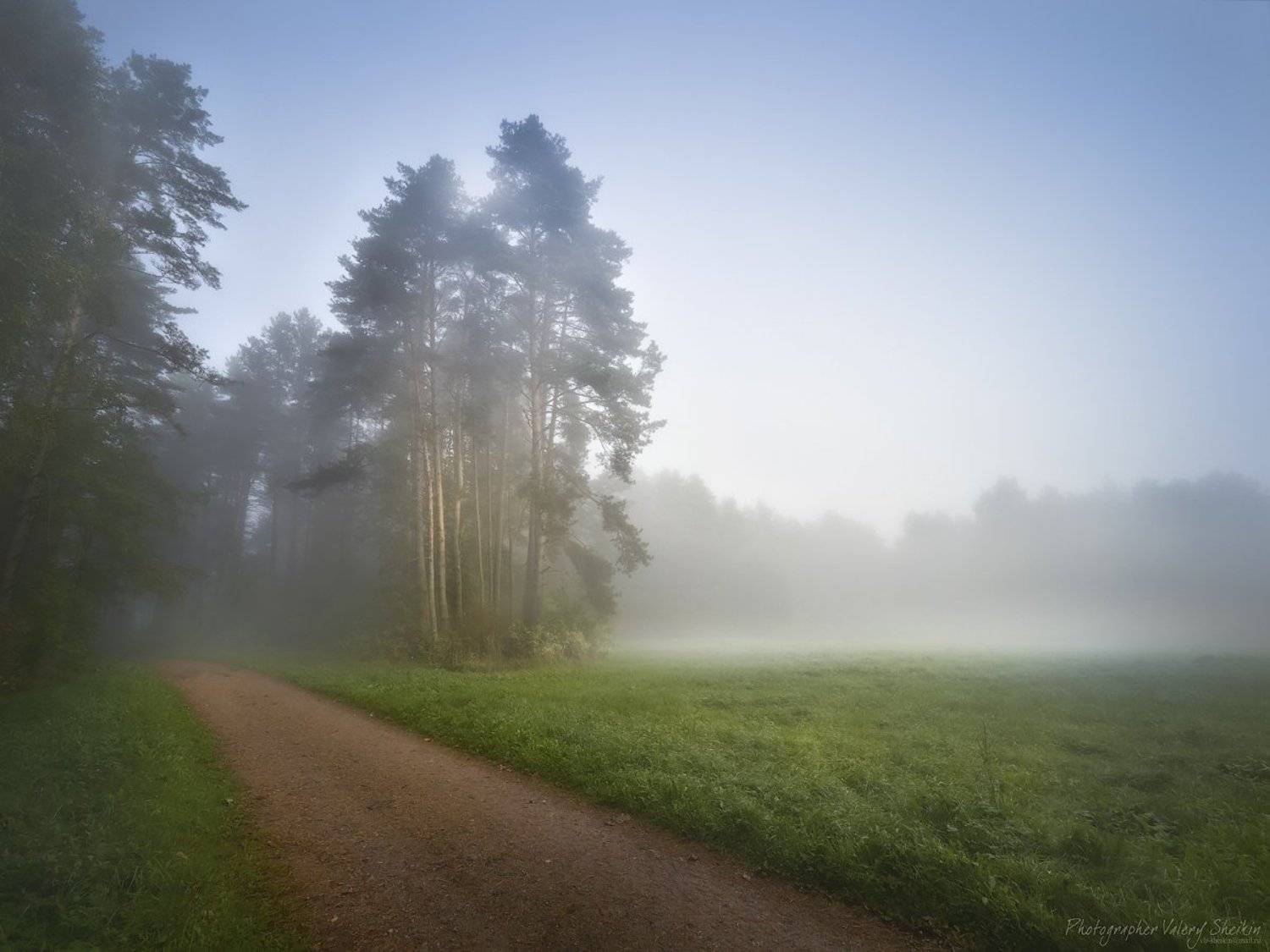 , Валерий Шейкин