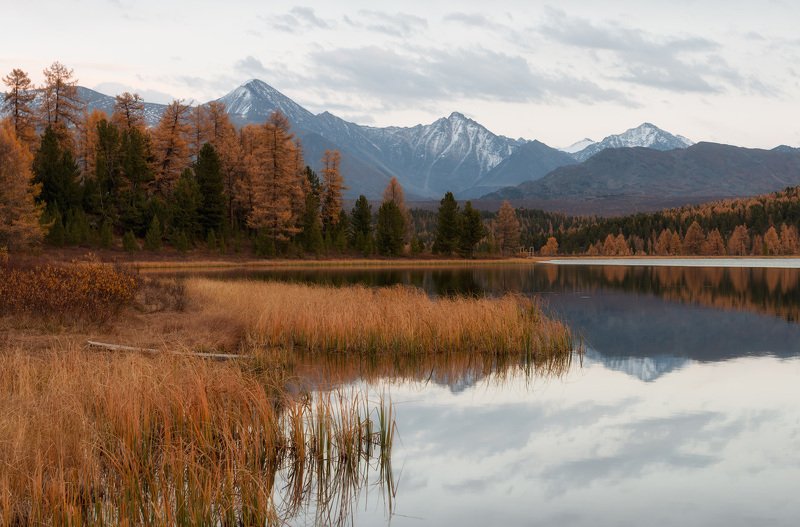Киделю фото превью