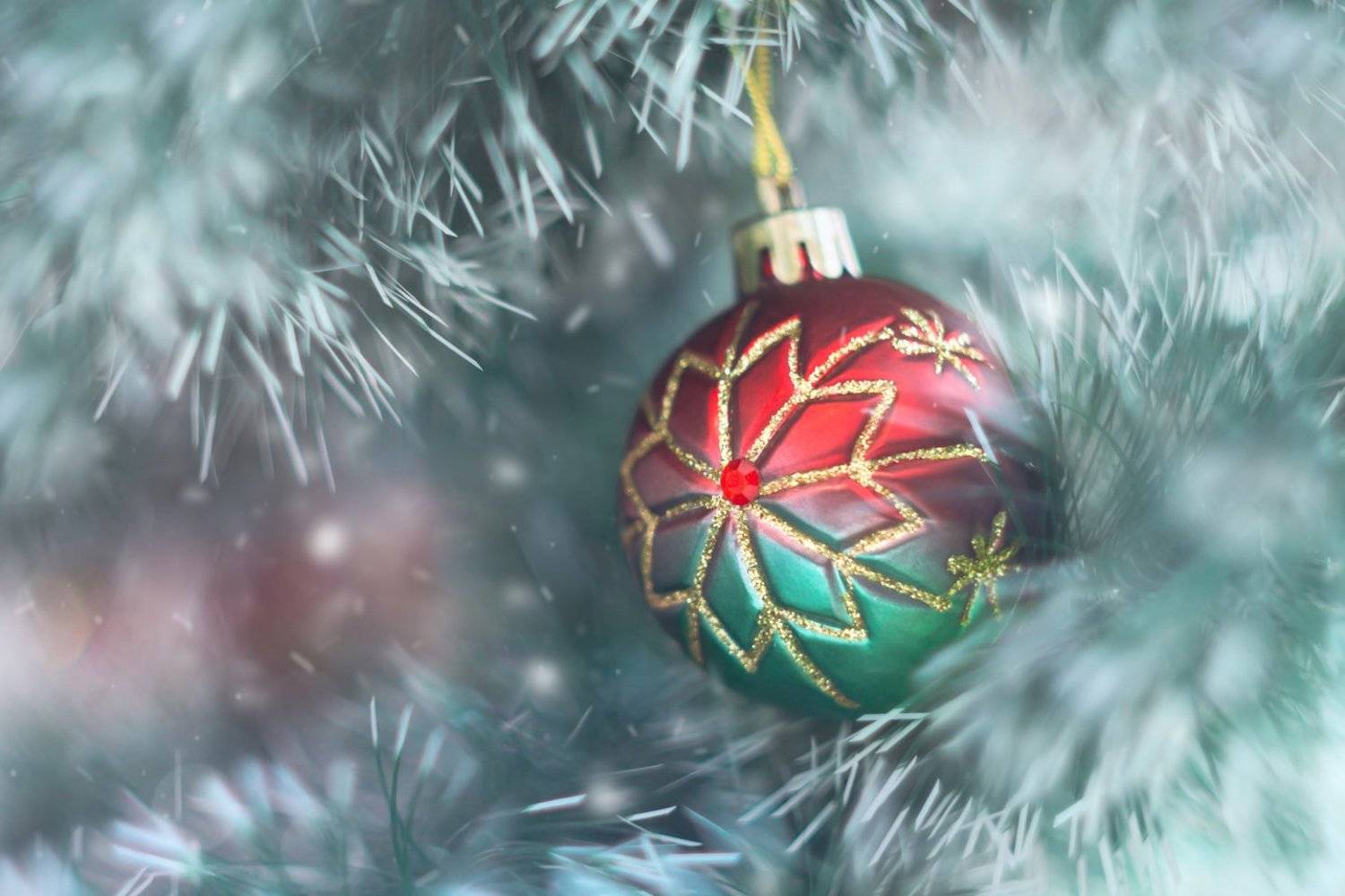 , Алёна Сурнина