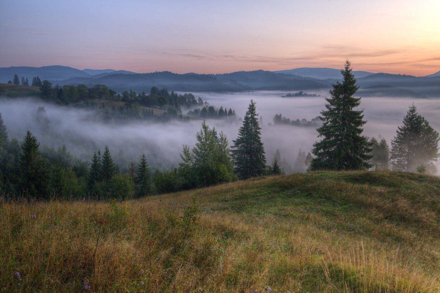 горы,карпаты,туман,утро,зори,заря, Sergii Markov