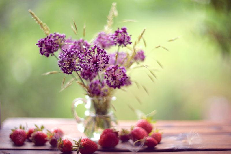 Дикий чеснок фото превью