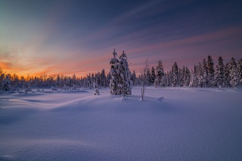 Рассвет в конце декабря.