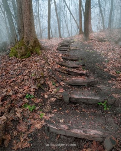 Stairs to the mist
