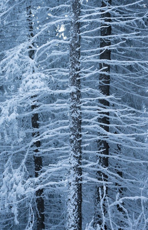 Зимно фото превью