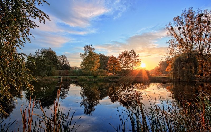 Morning фото превью