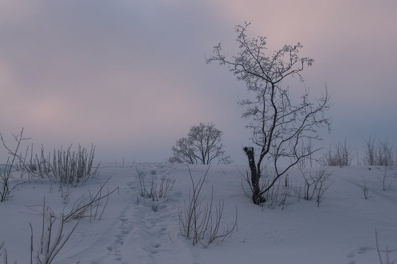 Зимний этюд фото превью