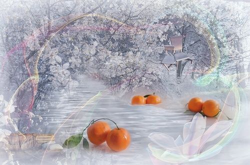 Мандариновый сон 