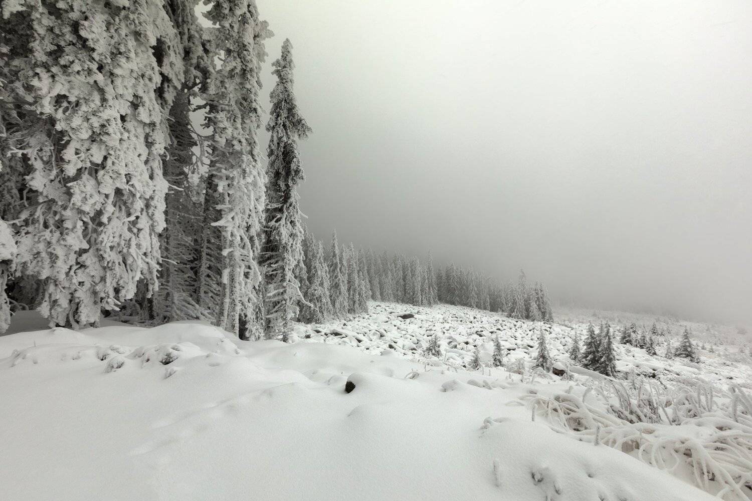 , Александър Сандев