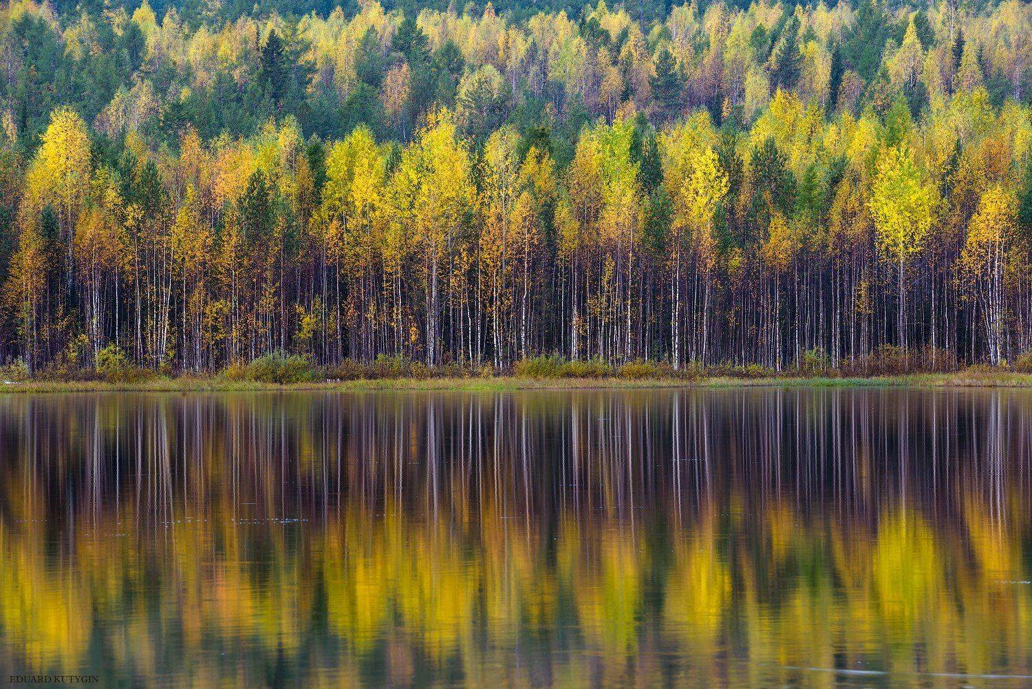 .... Автор: Кутыгин Эдуард , Кутыгин Эдуард