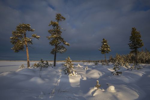 Декабрь