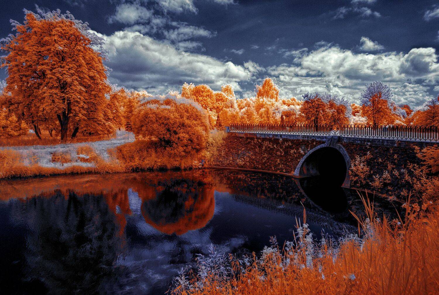 infrared,ик-фото,инфракрасное фото, инфракрасная фотография, пейзаж, лето, Sixten ( Сергей )