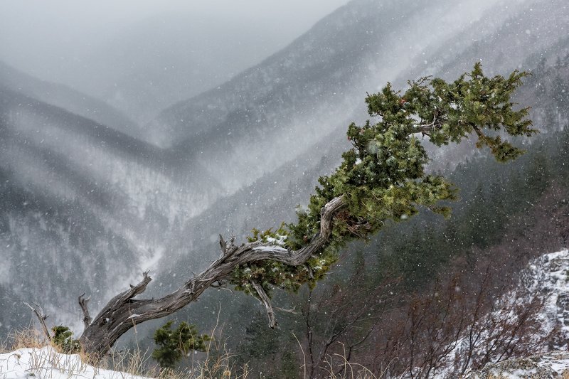 Зима фото превью