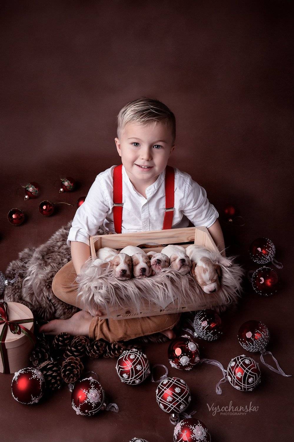 boy, puppies, animals, happy new year, Tetyana Vysochanska