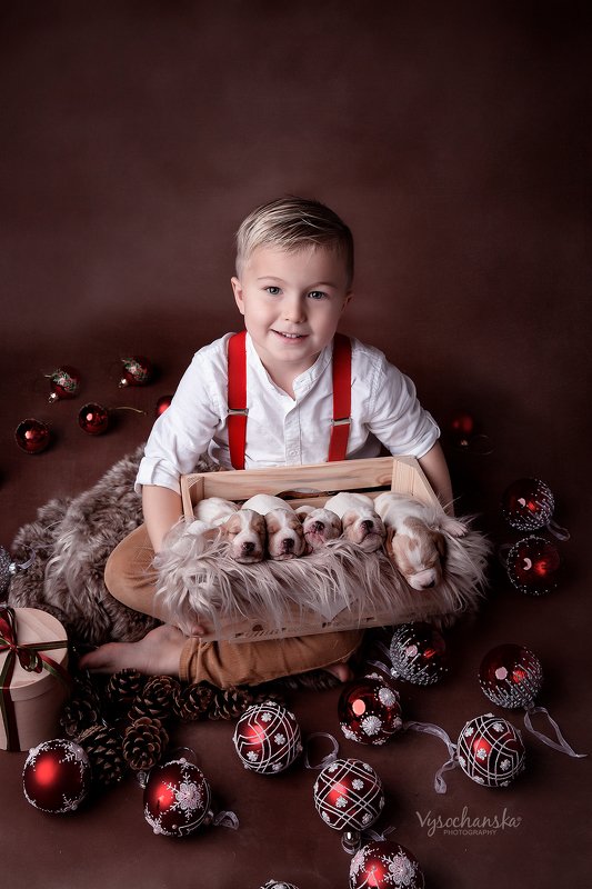 boy, puppies, animals, happy new year Happy Winter Holidays! фото превью