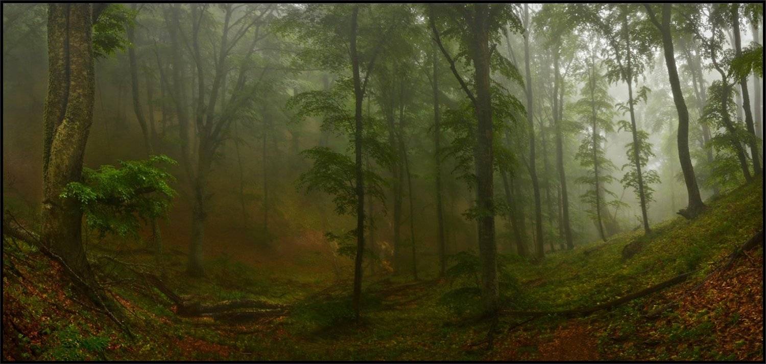 , Владимир Метцгер