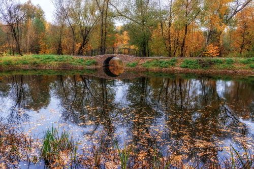 В старом парке