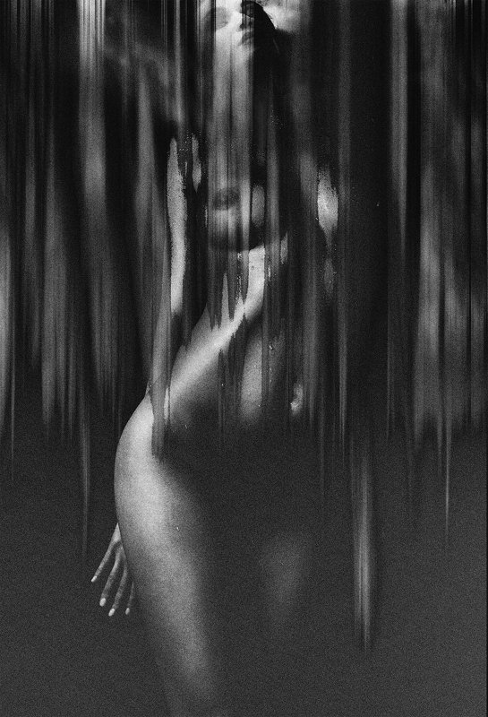 Ирис фото превью