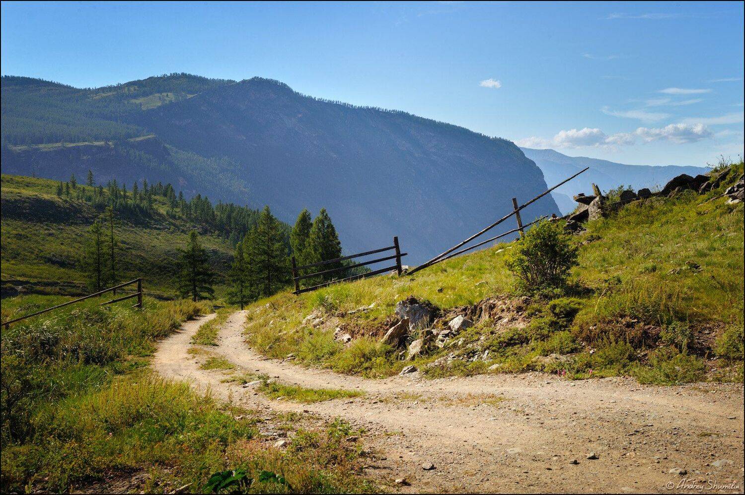 , Андрей Шумилин