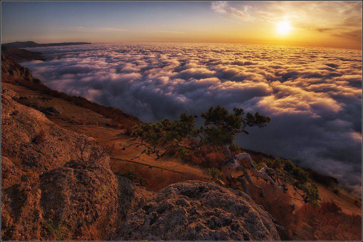 крым, демирджи, утро, солнце, туман, АНАТОЛИЙ ДОВЫДЕНКО