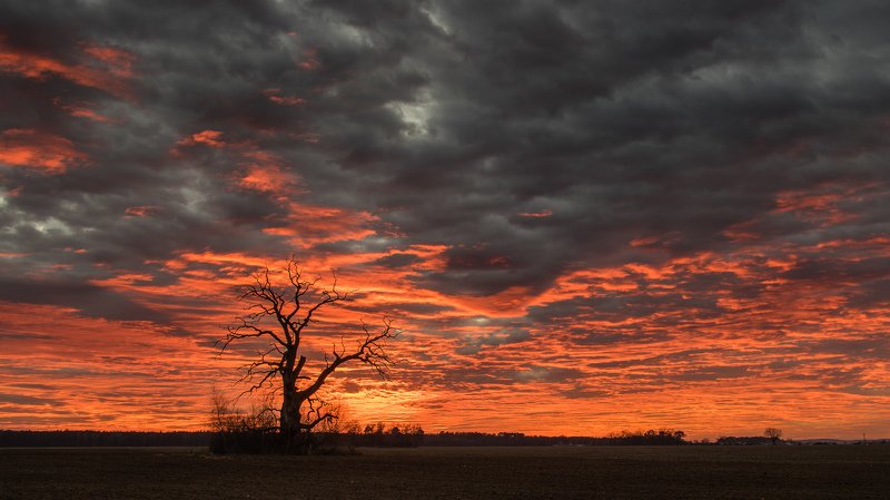 December sunset фото превью