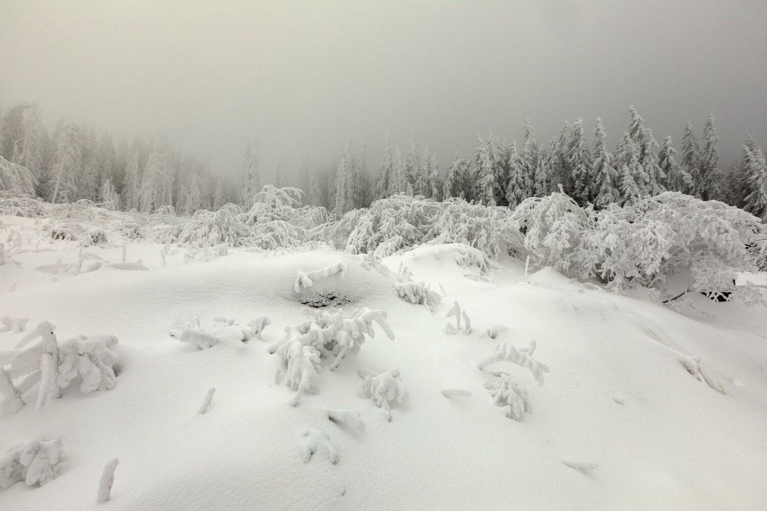 зимний, вечер, Александър Сандев