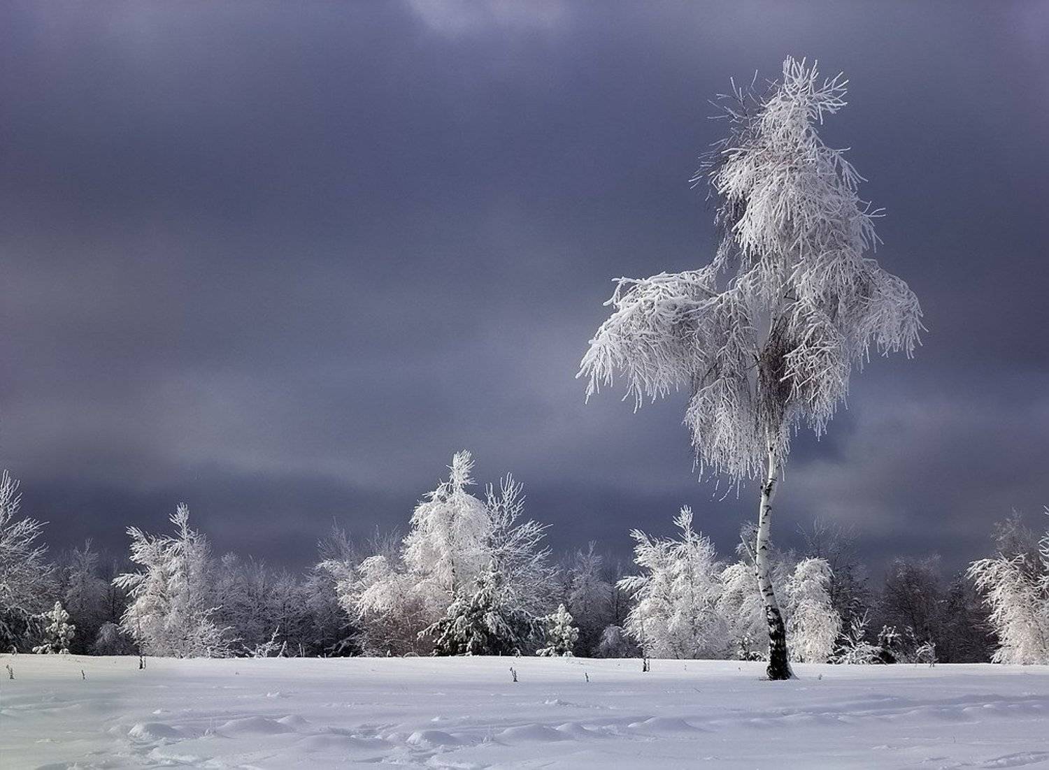 , Вячеслав Мищенко