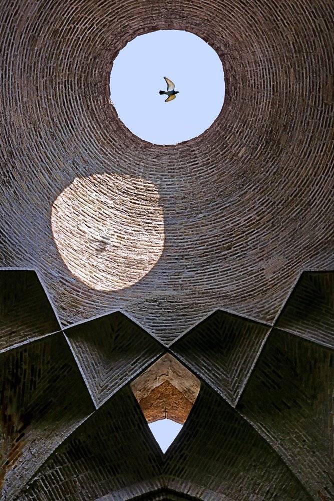 street, conceptual, art, fine art, birds., Mohammad Dadsetan