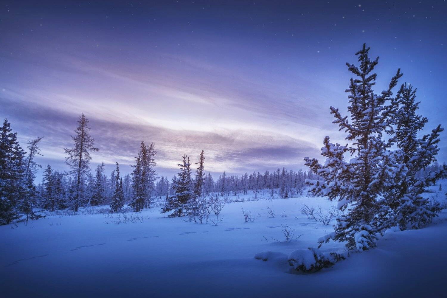 озеро, горы, лес, природа, закат, рассвет, красота, приключения, путешествие, Шевченко Николай