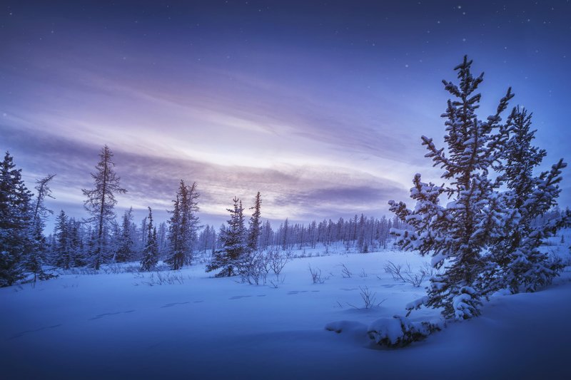 Заячьими тропками фото превью