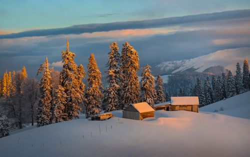 Праздник к нам приходит!