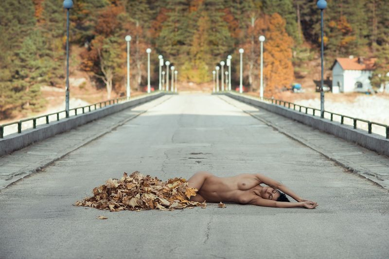 Autumn leaf фото превью