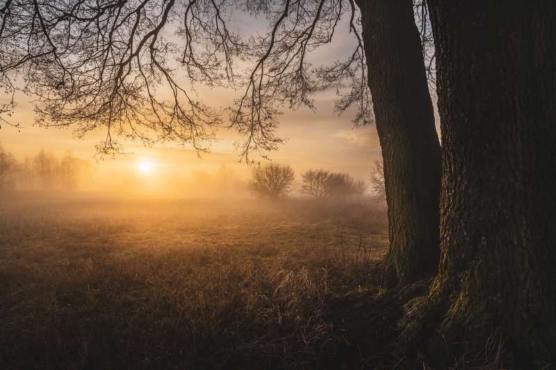 Golden hour фото превью