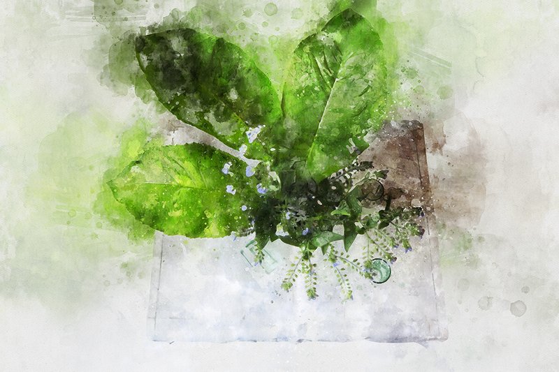 натюрморт арт фото красиво акварель АКВАРЕЛЬ 24 фото превью