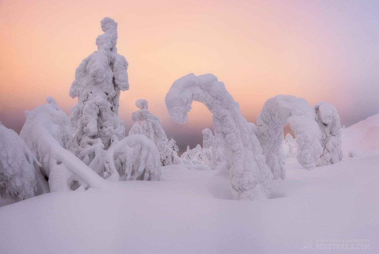 кольский, кольский полуостров, кандалакша, зима, winter, snow, north, Сергей Королев
