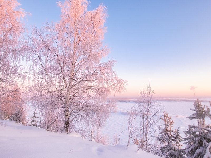 Морозное утро севера фото превью