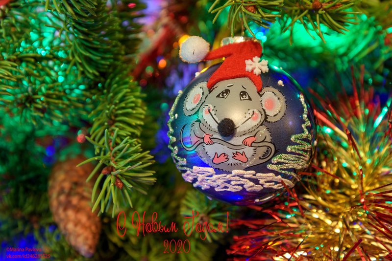 предметы, открытка, новый год С Новым годом! Творческого вдохновения и удачных кадров! фото превью