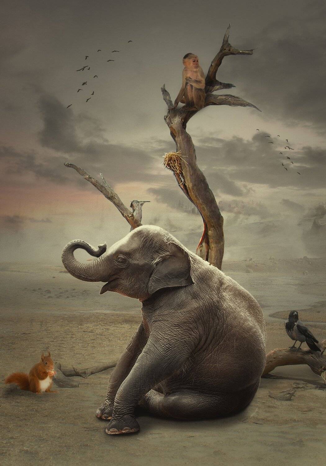 звери, дерево, берег, облака, Sergii Vidov