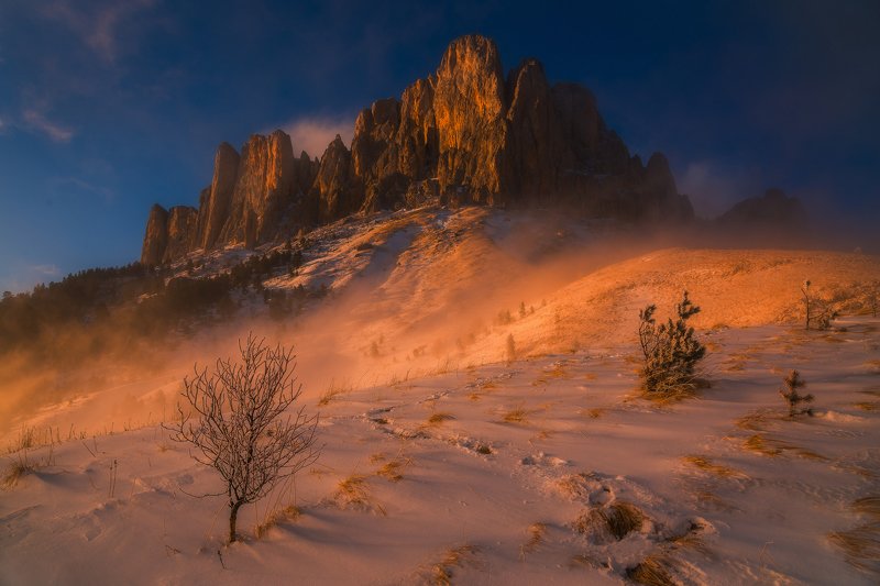 МОИ ФОТОГРАФИИ фото превью