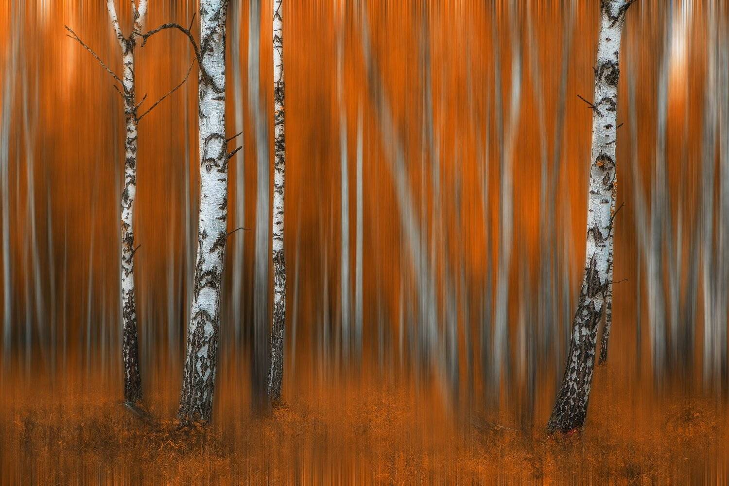 , Павел Сагайдак