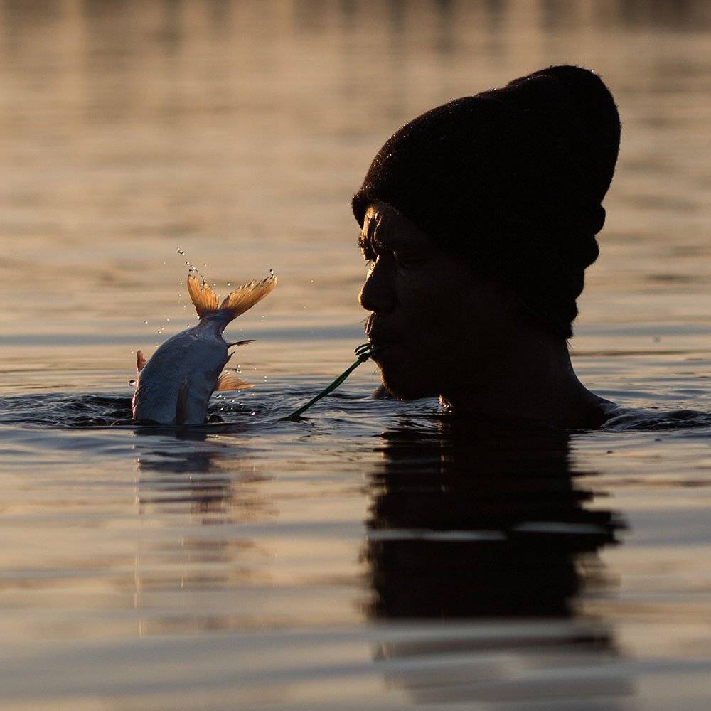, Алексей Терентьев