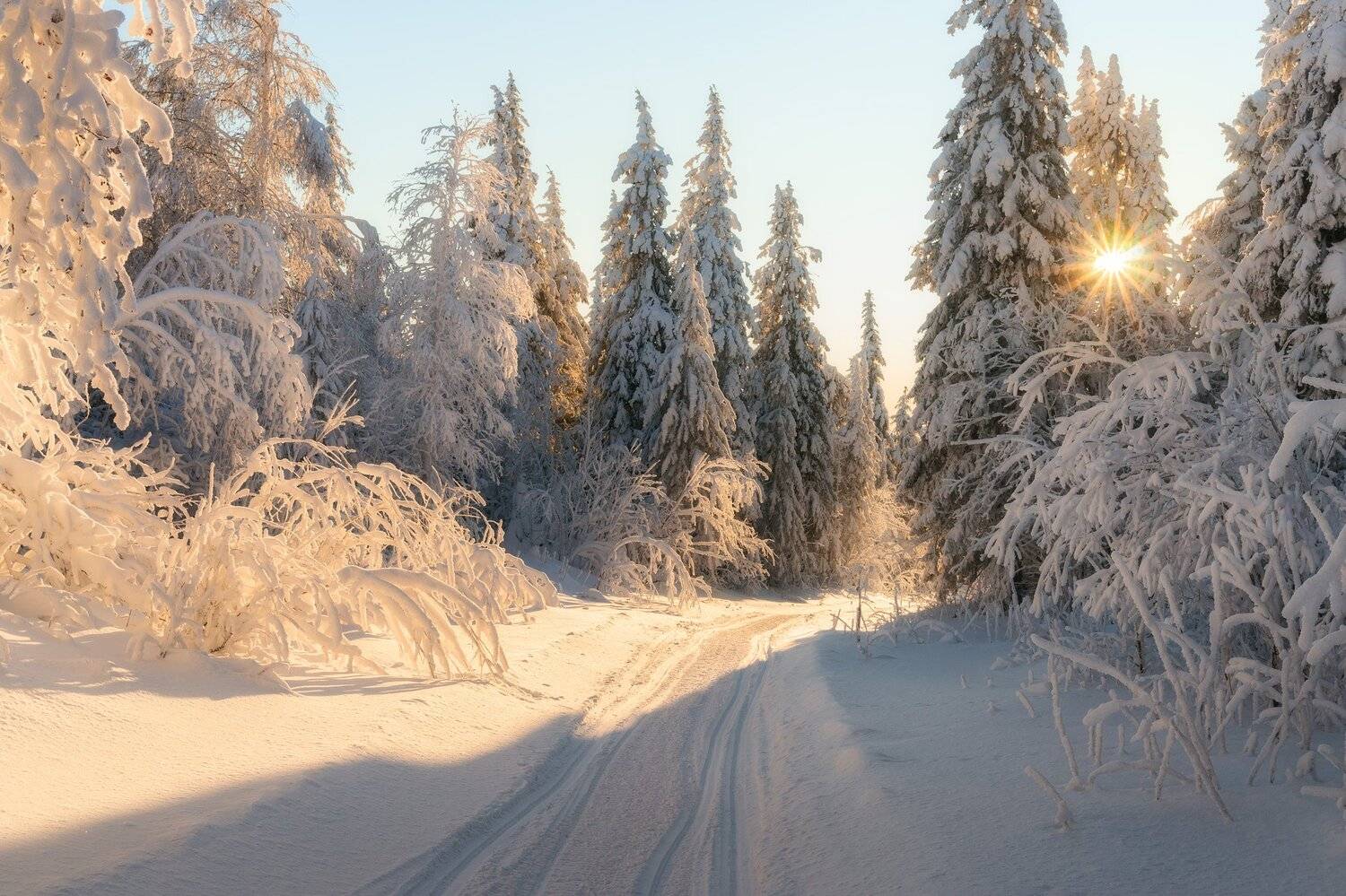, Михаил Туркеев