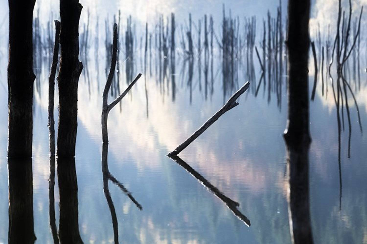 , Mihail-Bogdan Chirobocea