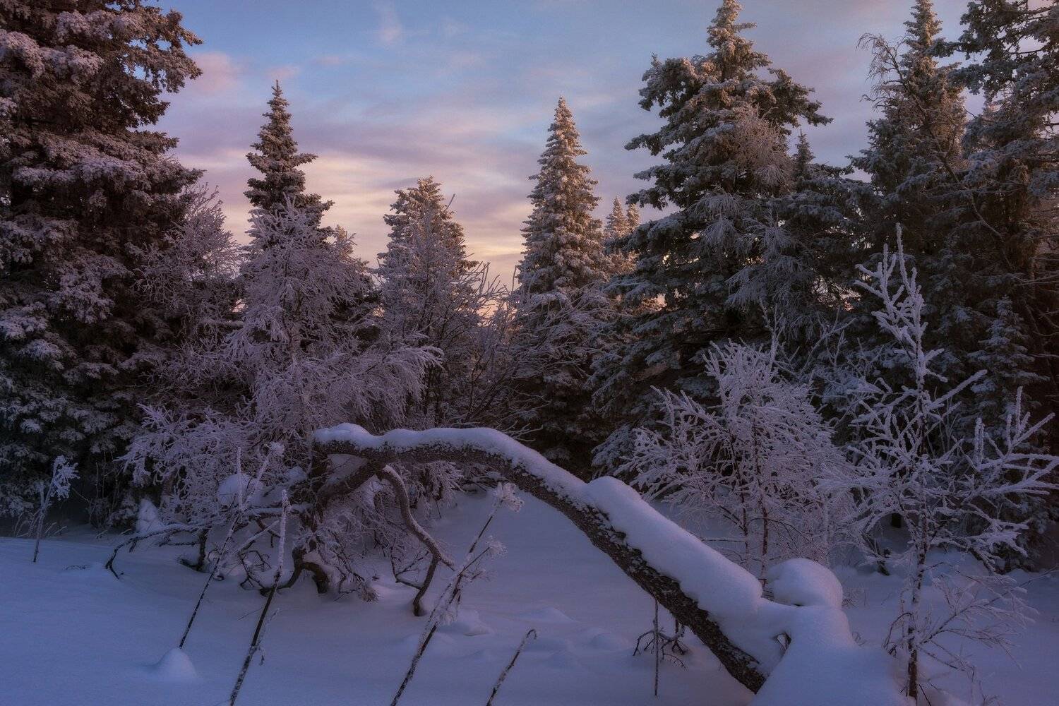 , Андрей Шарапов