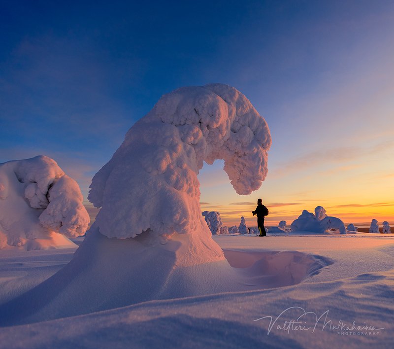 Парк Юрского периода фото превью