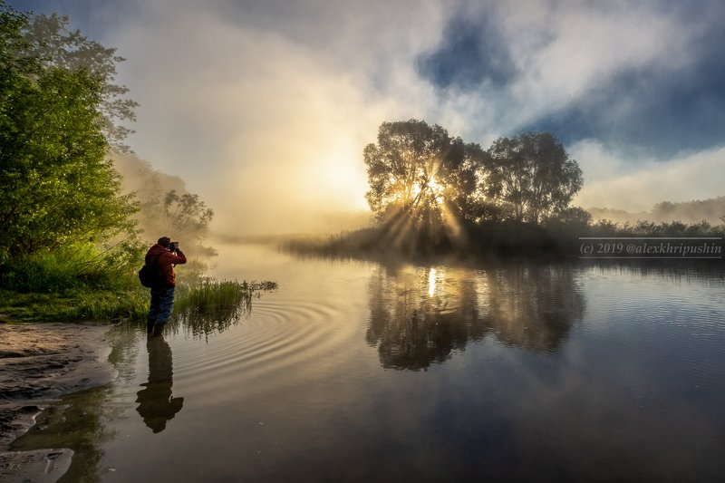 morning river water reflections fog mist landscape spring tree sunlight The morning of photographer фото превью