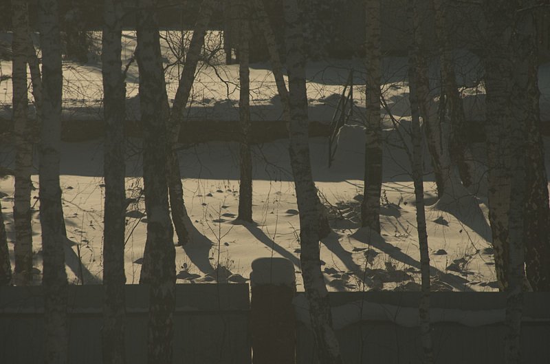 Winter Graphic фото превью