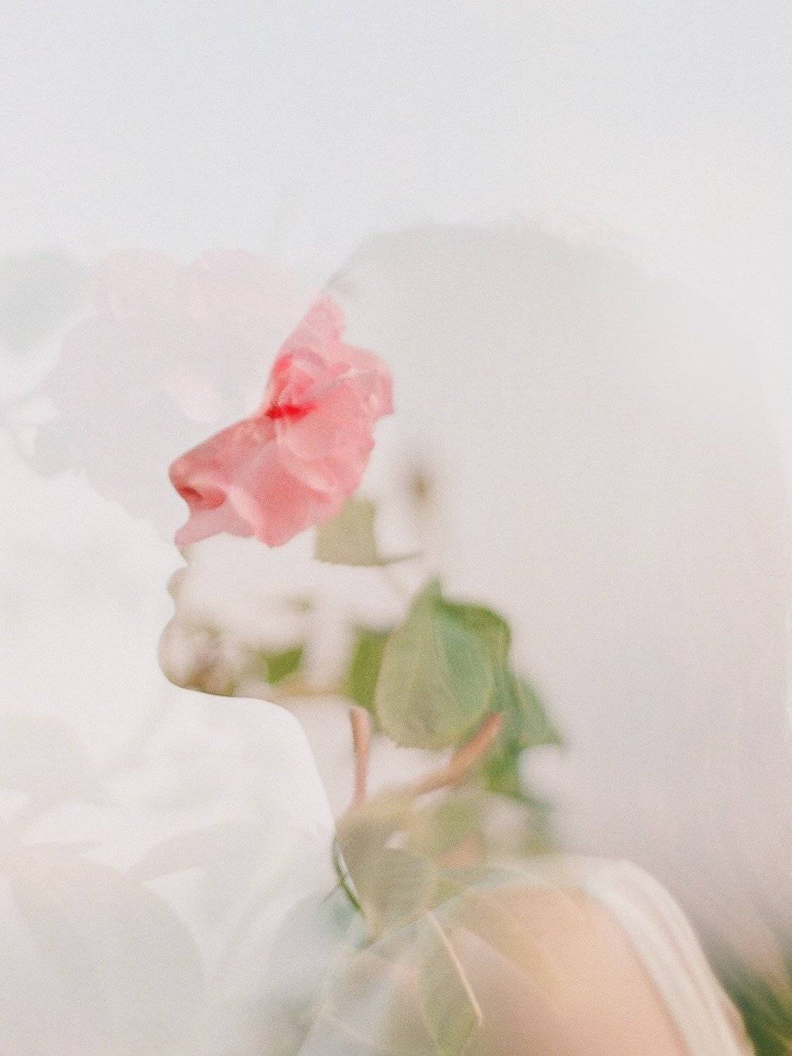 portrait, Radostina Boseva