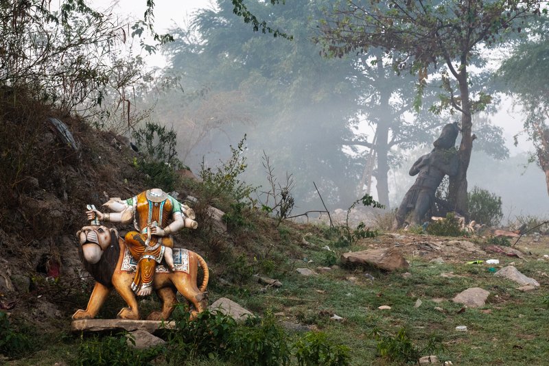 Even the gods are sick these days фото превью